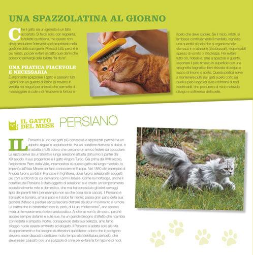 Gatti come noi. Calendario 2020 - 3