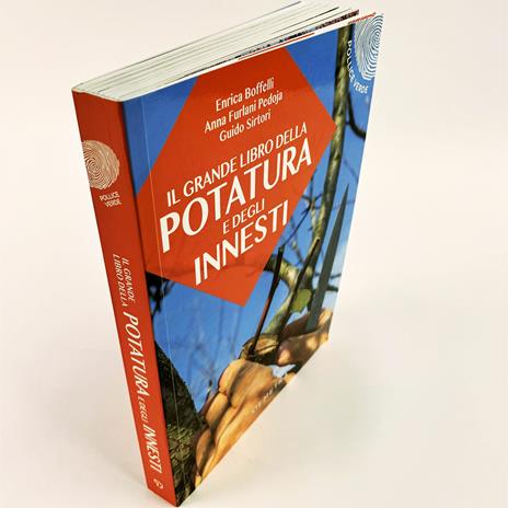 Il grande libro della potatura e degli innesti - Enrica Boffelli,Anna Furlani Pedoja,Guido Sirtori - 6