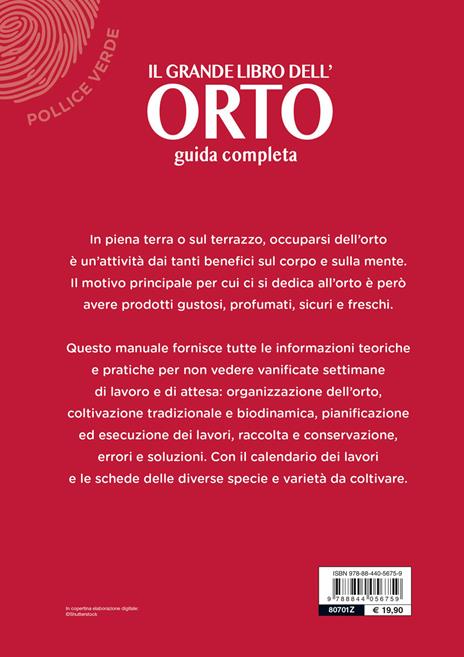 Il grande libro dell'orto. Guida completa - Enrica Boffelli,Guido Sirtori - 3