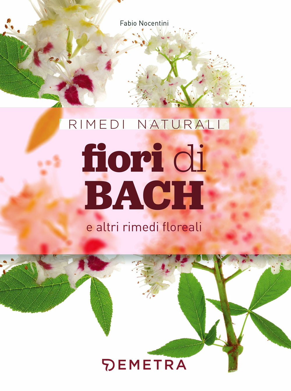 Libraccio