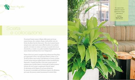 I segreti del Feng Shui con le piante. Una casa armoniosa migliora la vita - Alice Ki - 5