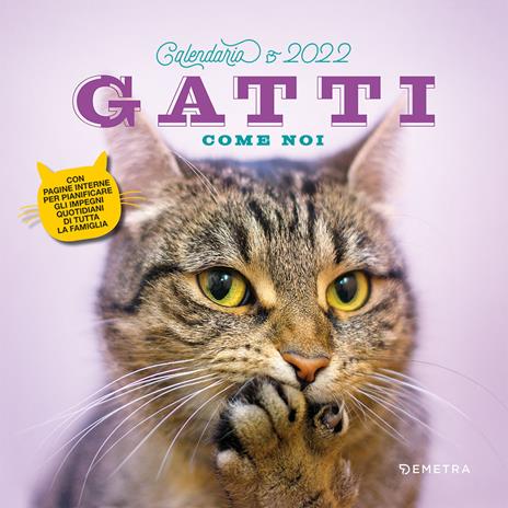 Gatti come noi. Calendario 2022 - copertina