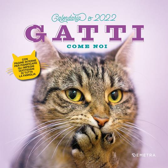 Gatti come noi. Calendario 2022 - copertina