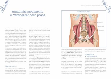 Psoas. Il ponte tra corpo e mente. Tutti gli esercizi per aumentare il benessere della schiena, ridurre l'ansia e riconnettersi con se stessi - Marcello Chiapponi - 4