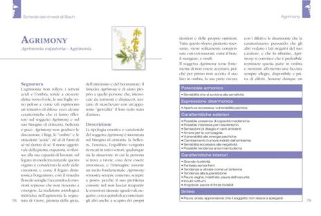 Fiori di Bach. Il manuale completo - Fabio Nocentini,Maria Laura Peruzzi - 6