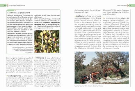 L'olivo. Coltivazione, raccolta e utilizzo - Adriano Del Fabro - 5
