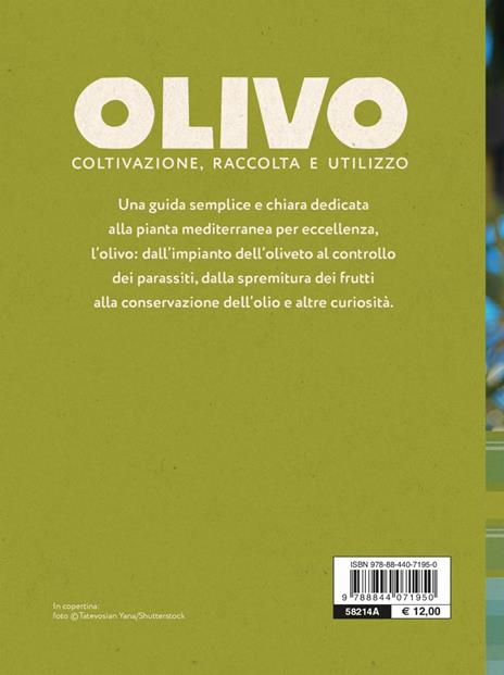 L'olivo. Coltivazione, raccolta e utilizzo - Adriano Del Fabro - 6