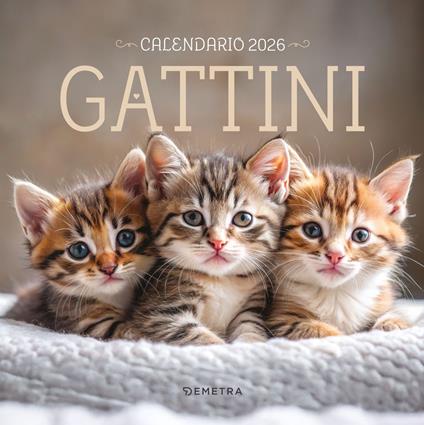 Gattini. Calendario 2026 da parete - copertina