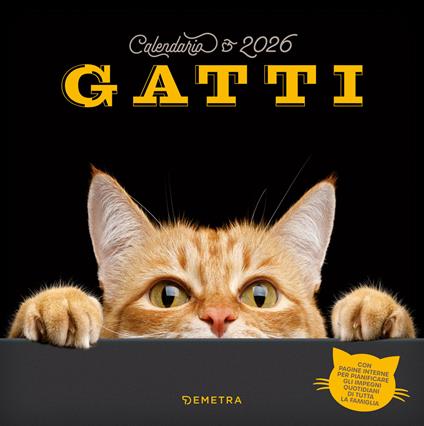 Gatti. Calendario 2026 da parete - copertina