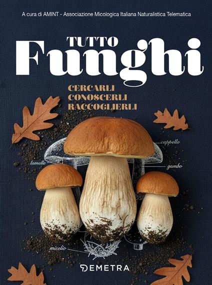 Tutto funghi - copertina
