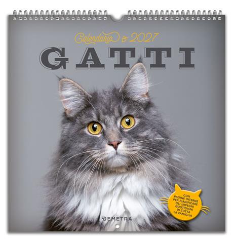 Gatti. Calendario 2027 - copertina