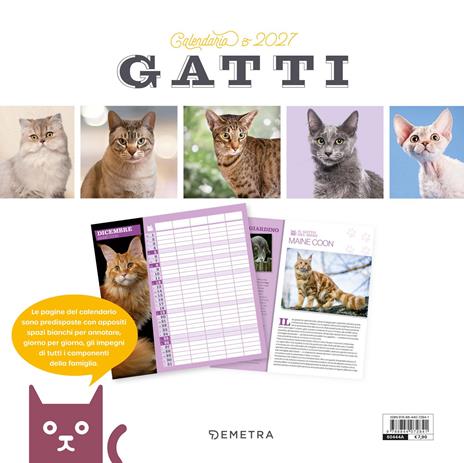 Gatti. Calendario 2027 - 2