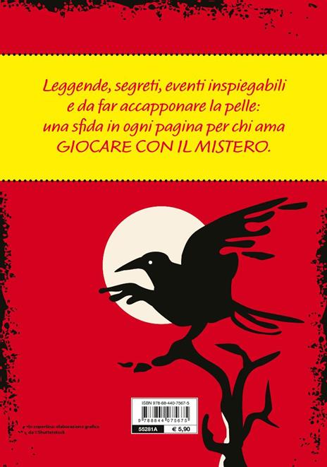 Misteri da risolvere. Enigmi per aspiranti detective - 2