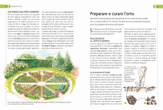 L'orto. Coltivarlo in modo sano e naturale - 4