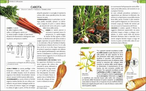 L'orto. Coltivarlo in modo sano e naturale - 5