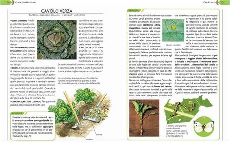 L'orto. Coltivarlo in modo sano e naturale - 6