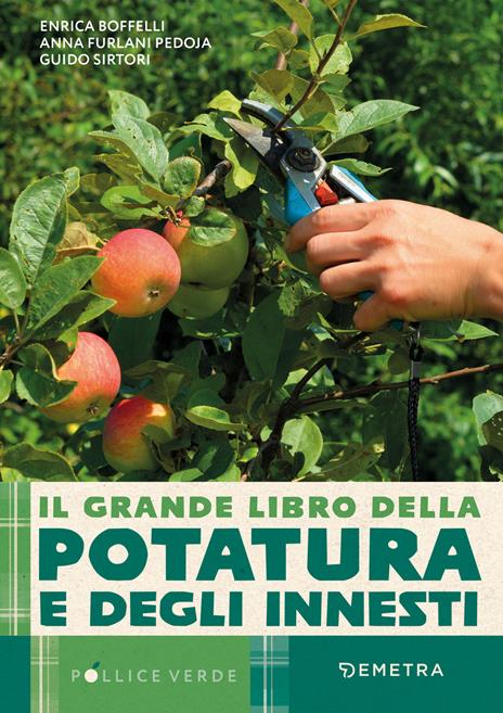 Il grande libro della potatura e degli innesti - Enrica Boffelli,Anna Furlani Pedoja,Guido Sirtori - copertina