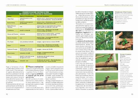 Il grande libro della potatura e degli innesti - Enrica Boffelli,Anna Furlani Pedoja,Guido Sirtori - 5