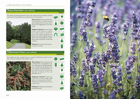 Il grande libro della potatura e degli innesti - Enrica Boffelli,Anna Furlani Pedoja,Guido Sirtori - 6