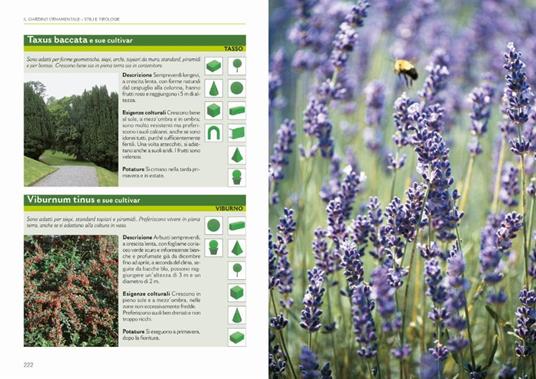 Il grande libro della potatura e degli innesti - Enrica Boffelli,Anna Furlani Pedoja,Guido Sirtori - 6