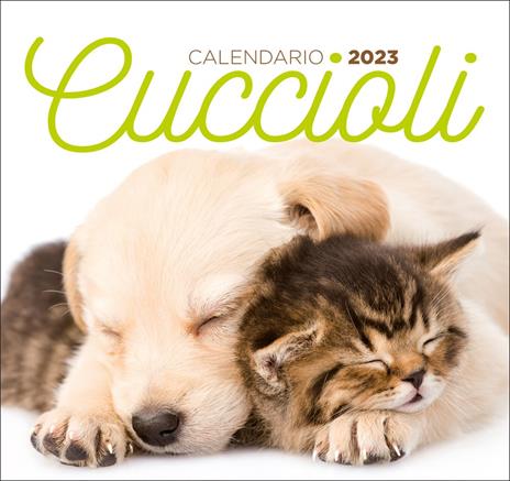 Cuccioli. Calendario 2023 da tavolo (17 x 16) - copertina