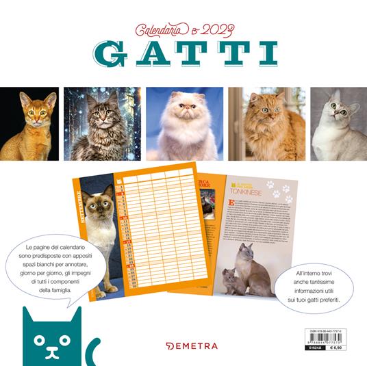 Gatti. Calendario 2023 da parete (30 x 30) - 2