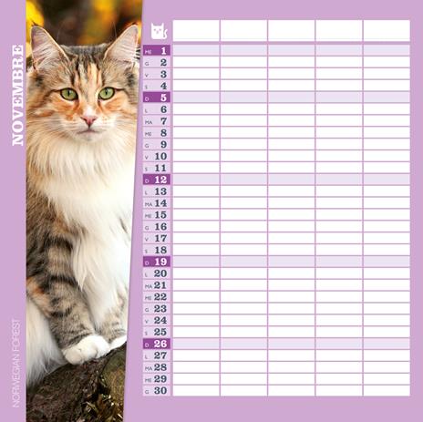 Gatti. Calendario 2023 da parete (30 x 30) - 3