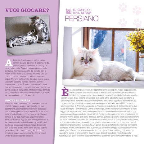Gatti. Calendario 2023 da parete (30 x 30) - 4