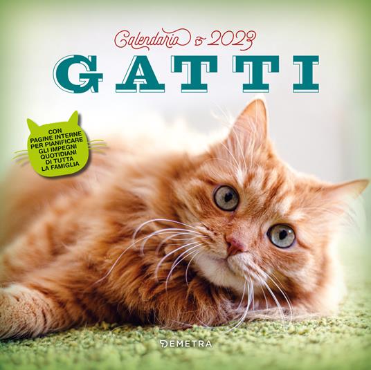 Gatti. Calendario 2023 da parete (30 x 30) - copertina