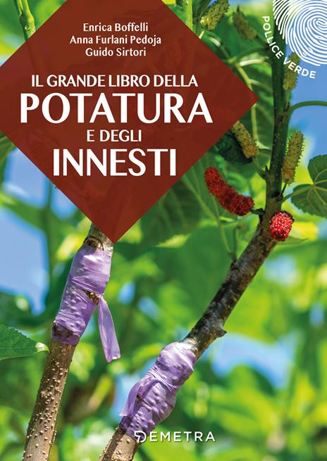 Il grande libro della potatura e degli innesti - Enrica Boffelli,Anna Furlani Pedoja,Guido Sirtori - copertina