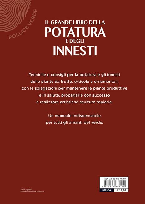 Il grande libro della potatura e degli innesti - Enrica Boffelli,Anna Furlani Pedoja,Guido Sirtori - 7