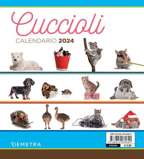 Calendario cuccioli desk 2024 - 6