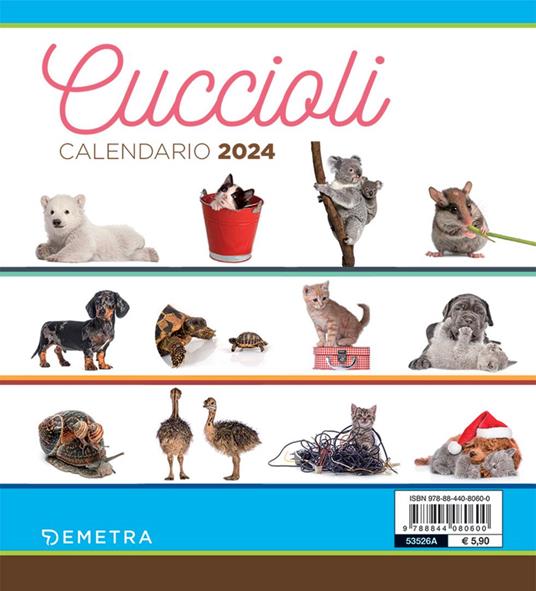Calendario cuccioli desk 2024 - 6