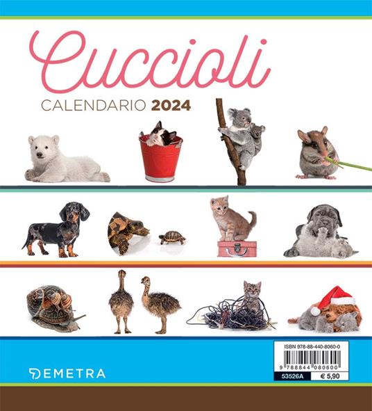 Calendario cuccioli desk 2024 - 2