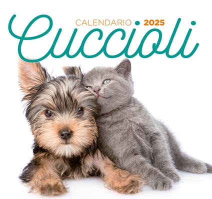 Cuccioli. Calendario desk 2025 - copertina