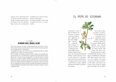 L'anima delle spezie. Conoscerle e utilizzarle in cucina - June Bellamy - 6