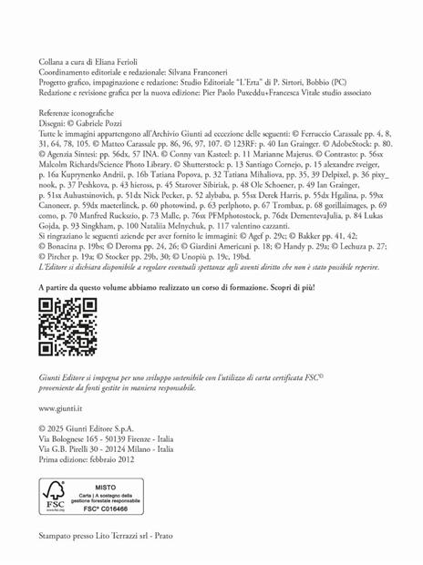 Giardino in vaso sul balcone e terrazzo - Eliana Ferioli - 3