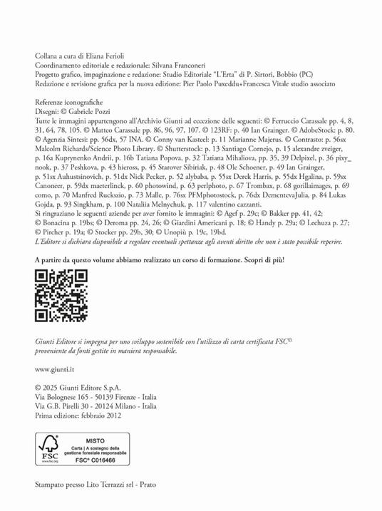 Giardino in vaso sul balcone e terrazzo - Eliana Ferioli - 3