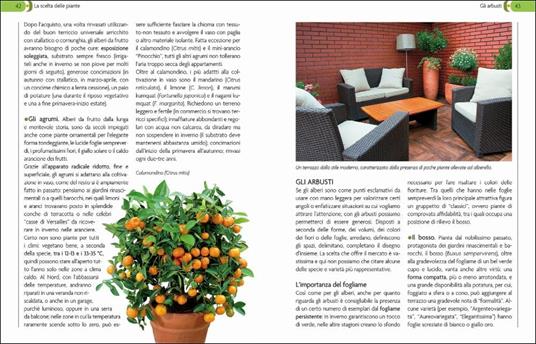 Giardino in vaso sul balcone e terrazzo - Eliana Ferioli - 5