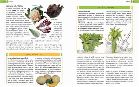 Calendario lunare di tutti i lavori agricoli - 6