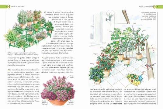 L'orto sul balcone. Organizzazione e coltivazione - 4