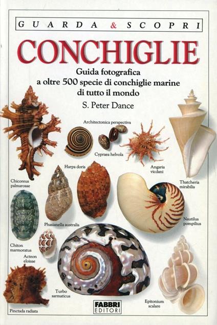 Conchiglie - Peter Dance - copertina