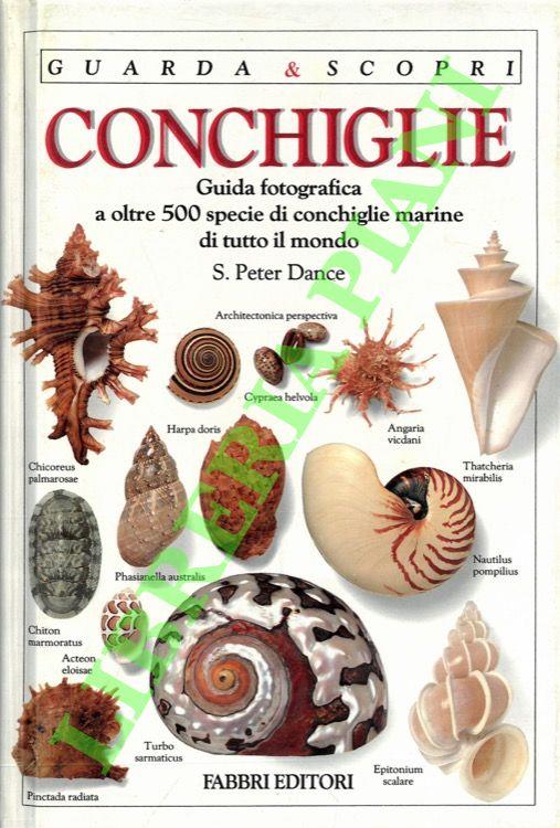 Libreria Piani