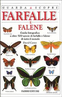 Farfalle - David A. Carter - copertina