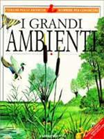 I grandi ambienti