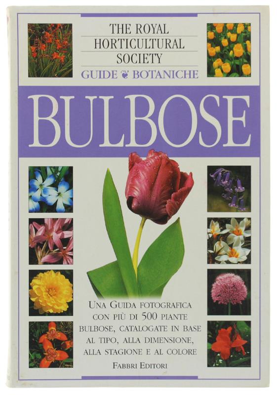 Bergoglio Libri d'Epoca Snc