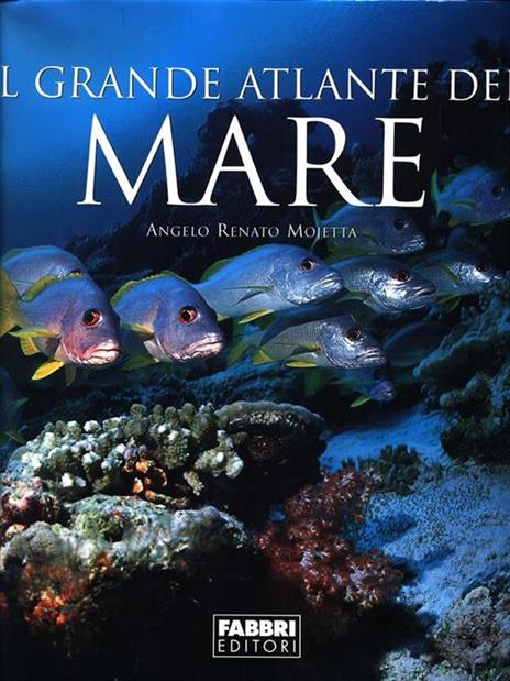 Il grande atlante del mare. Ediz. illustrata - Angelo Mojetta - copertina