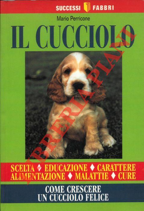 Libreria Piani
