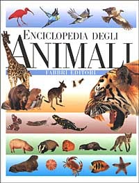 Libraccio