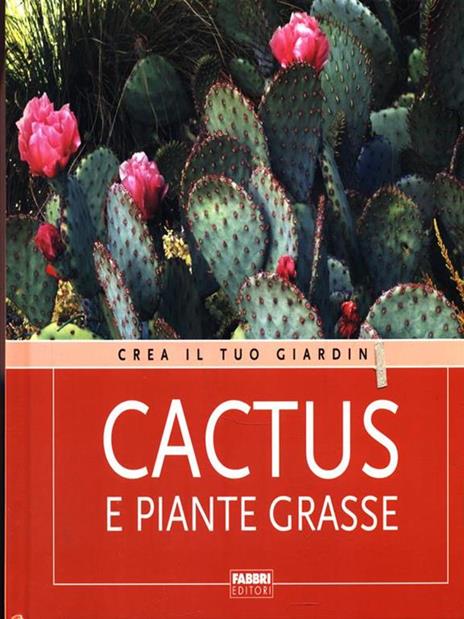 Cactus e piante grasse. Ediz. illustrata - 2